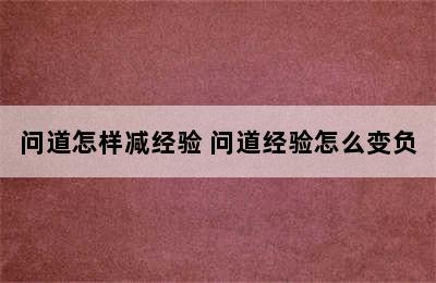 问道怎样减经验 问道经验怎么变负